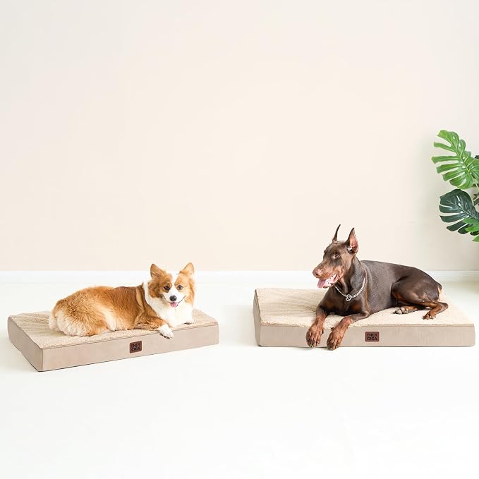 EHEYCIGA Orthopedic Dog Bed Large with Removable Washable Cover, 50IN Khaki | Egg Crate Foam Support, Durable Oxford fabric, Non-Slip Bottom, Machine Washable, Soft Waterproof Plush Pet Bed Mat For Crate