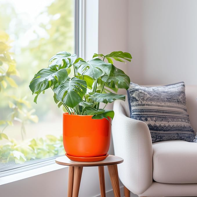 Ceramic Pot for Plants - 8 Inch Plant Pot with Drainage Hole and Saucer, Cylinder Modern Round Planter for Indoor Outdoor Plants, Housewarming Gifts, Office Home Garden Decor, Orange