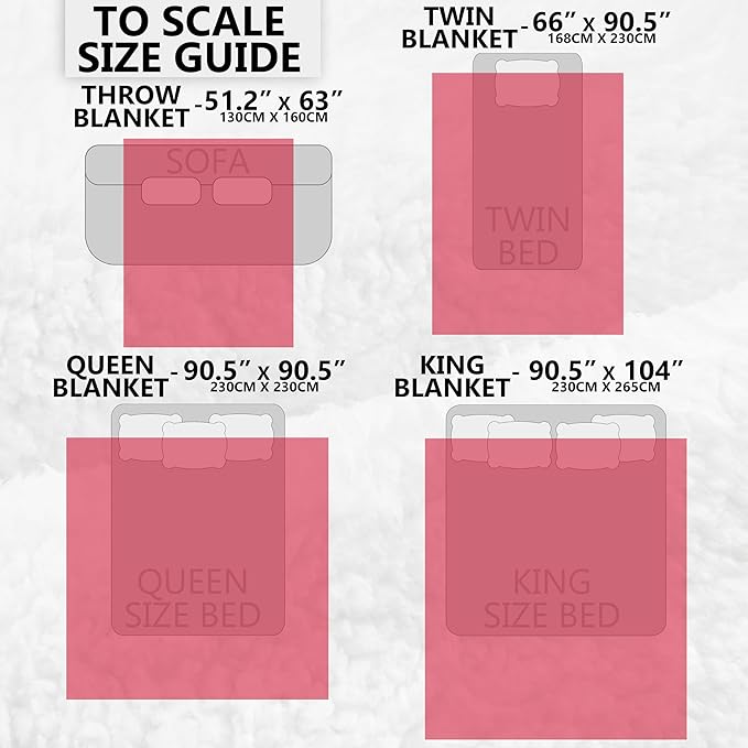 Harry Potter Gifts Heated Blanket Electric, Queen Size Luxurious Fleece