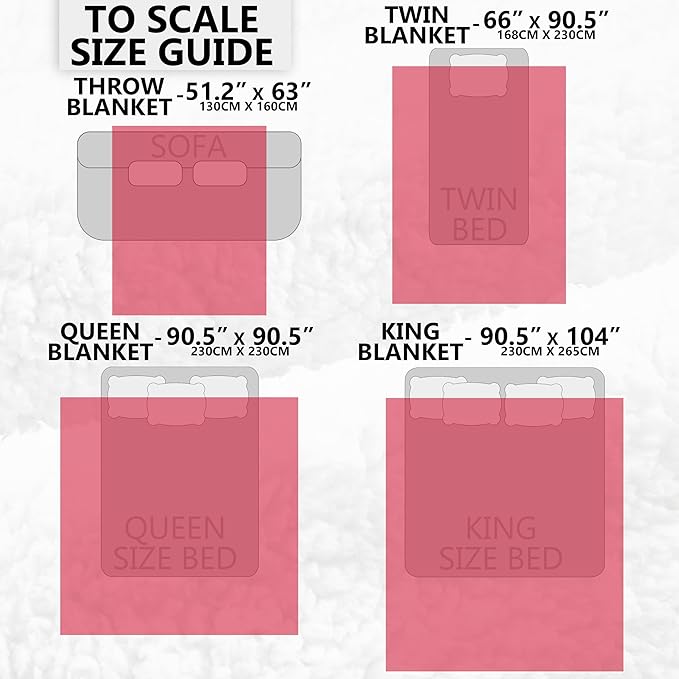 Heated Blanket Electric Luxurious Fleece Queen Blanket, 9 Heat Settings & 12H