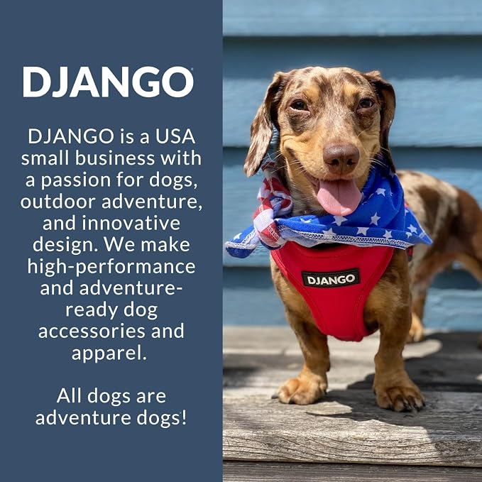 Adventure Dog Harness - Stylish & Durable Large Dog Harness for Outdoor Adventures and Everyday Wear - Pacific Blue Neoprene Adjustable Harness for Dogs with Reflective Piping, Brass D-Ring