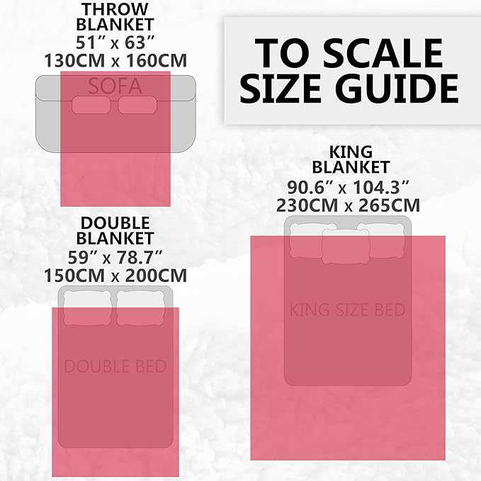 Friends TV Show Heated Blanket Electric, Luxurious Soft Fleece Throw, Fast