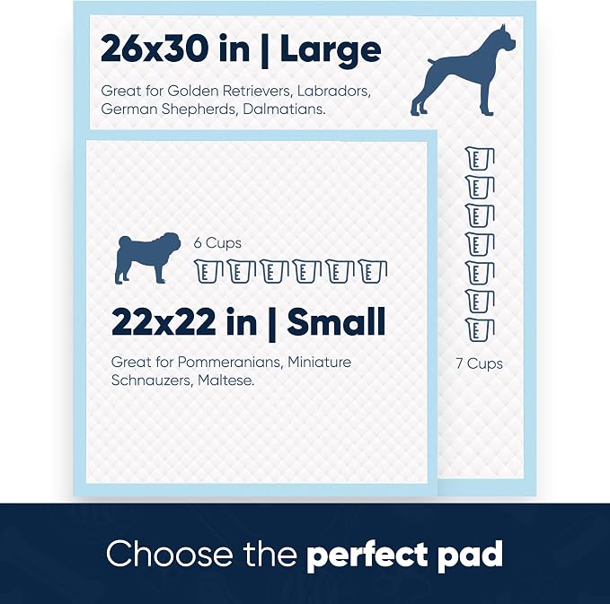 American Kennel Club Scented Puppy Pads –Large Size – 30x26 Ultra Absorbent 6-Layer Pee Pads with Odor Control & Quick-Dry Gel – Fresh Scent – 50 Count (Fresh Scented, 26x30)