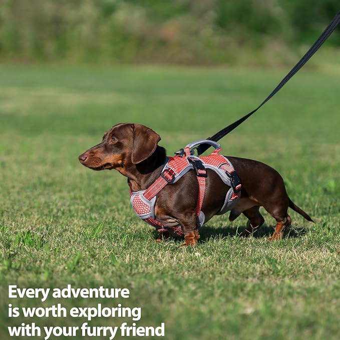 Escape Proof Dog Harness, Dachshund Harness, Reflective Dog Harness with Handle, Durable,Adjustable Vest for Small Medium Large Dogs Walking, Training, and Running Gear (Red,M)