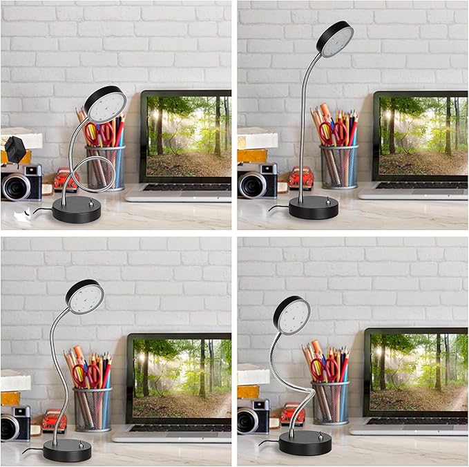 19.25" Flexible Gooseneck LED Desk Lamp, Plun-in Table Light with Stable Base, 4.5W 260LM 4000K, 65” Cord Small Desk Light for Home Office, Study, ETL Listed