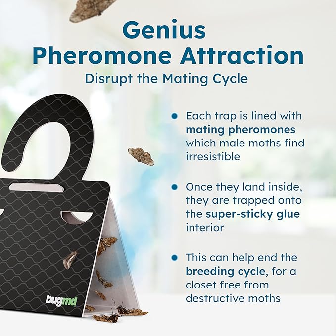 BugMD Clothes & Pantry Moth Traps – Sticky Glue Pheromone-Based Repellent