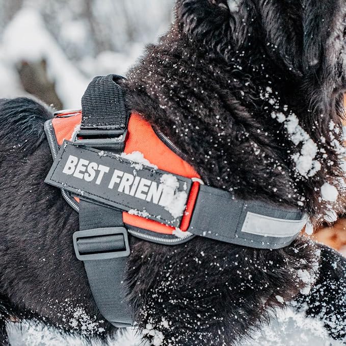 Personalized Dog Harness with Custom Name Patches, Adjustable Reflective No Choke Dog Vest with Handle for Large Dogs, Rose Red, L