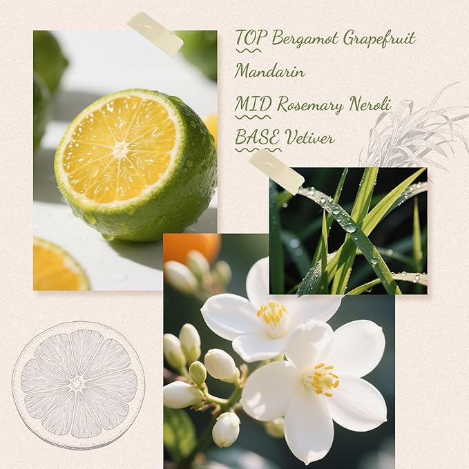Reed Diffuser, 6.09 oz Citrus Grove Scent Diffuser