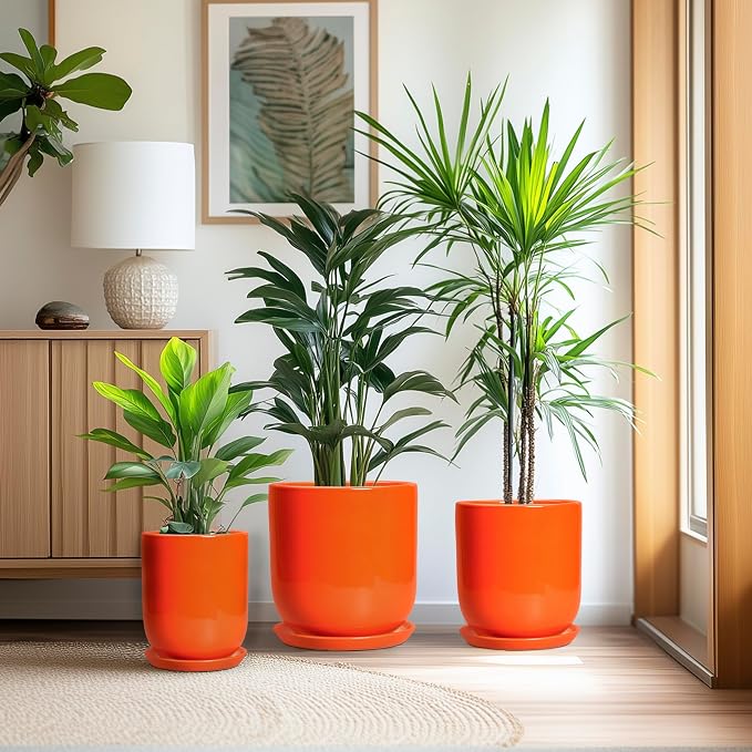 Ceramic Planter - 8 Inch Plant Pot with Drainage Hole and Saucer, Cylinder Round Modern Flower Pot for Indoor Outdoor Plants, Plant Lover Gifts, Garden Office Home Decor, Orange