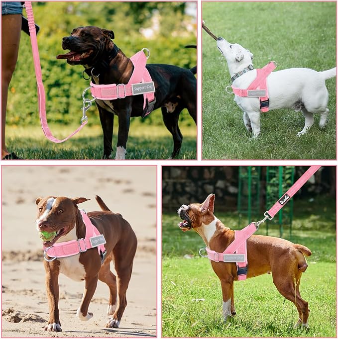 SlowTon No Pull Dog Harness with Front Clip - Heavy Duty, Soft Padded | Neck & Chest Adjustable, Tactical Pet Vest and Leash Set for Large Medium Sized Dogs, for Easy Walk & Training, Pink S