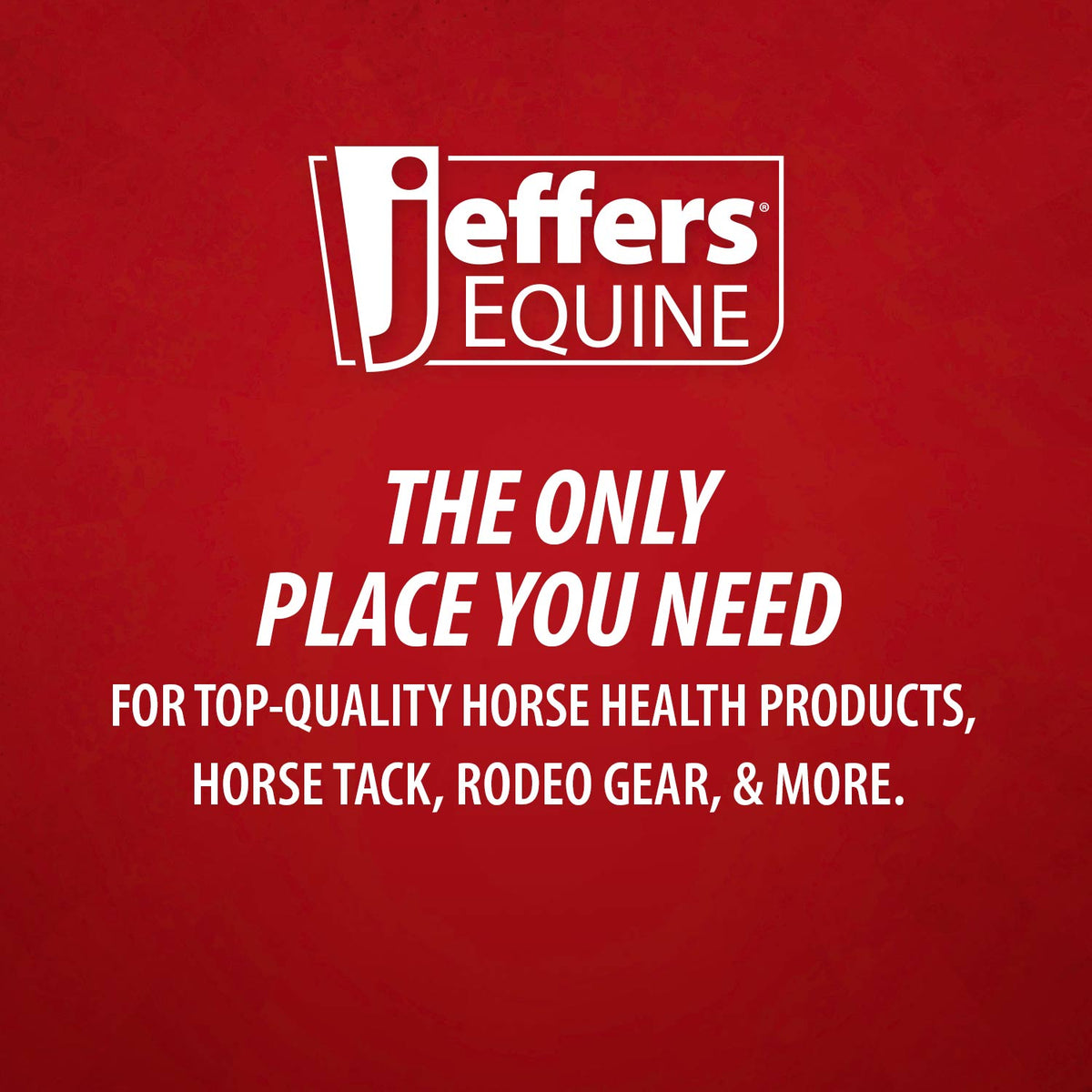Jeffers Double-Sided Sisal/Microfiber Face Grooming Mitt for Horses