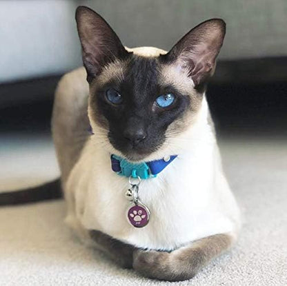 Kittyrama Monte Carlo Cat Collar with Bell. Breakaway Collar. Won't Rub Fur. Lightweight, Soft & Comfy