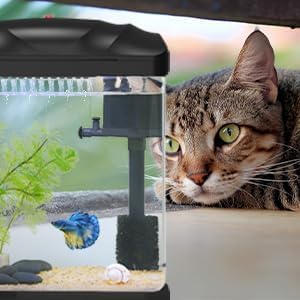 Small Fish Tank, 2 Gallon Glass Aquarium, Betta Fish Shrimp Goldfish Tropical Fish Starter Kit Self Cleaning with Filter & LED Plant Light, Ultra-Quiet Kids Room Decoration Fish Tank