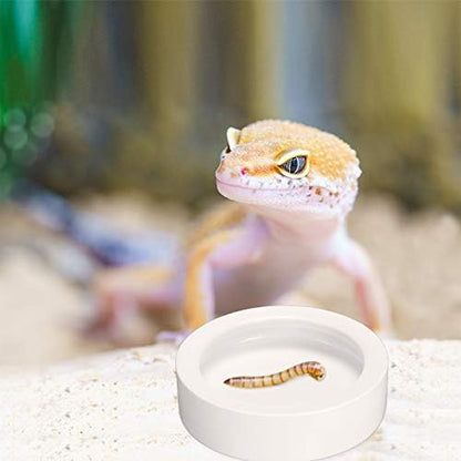 Meanplan 4 Pcs Reptile Bowl Food Dish Reptile Water Food Feeding Dish Ceramic Worm Pet Bowl Anti Escape Feeder for Lizard Anoles Chameleon Bearded Dragon Hermit Crab(2.71 Inch)