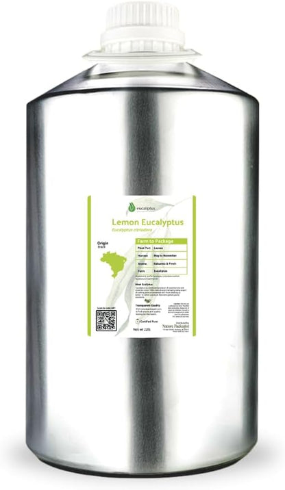 Lemon Eucalyptus Oil by Eucaliptus from Brazil