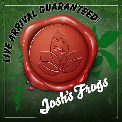 Josh's Frogs Tarantula Vivarium Bioactive Plant Kit (3x3x6 Terrarium)