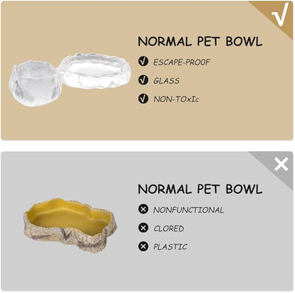 2 Pack Reptile Food Dish and Drinking Bowl Small Food Dish Terrarium Feeder for Small Reptile Lizard Gecko Spider Cricket Baby Bearded Dragon Hermit Crab Snail Turtle