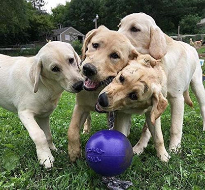 Jolly Pets Romp-n-Roll Rope and Ball Dog Toy, 6 Inches/Medium, Purple