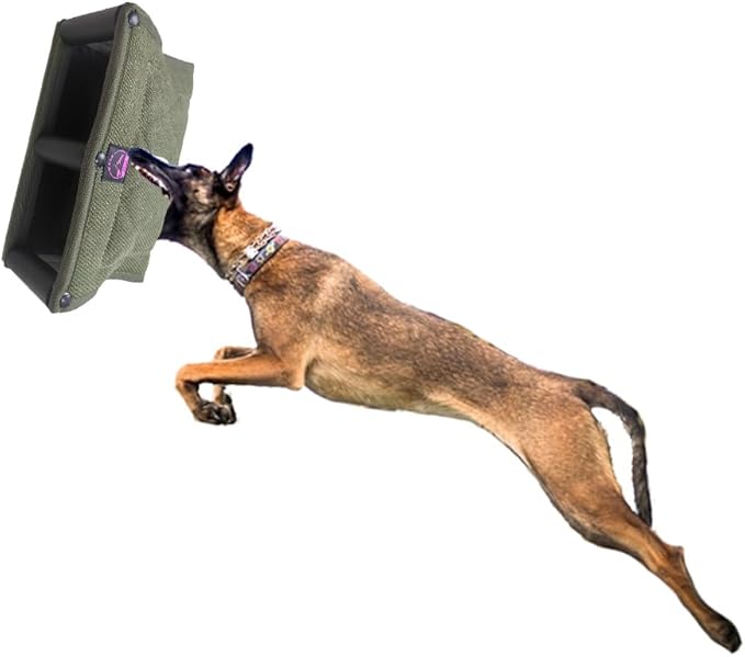 Durable Dog Bite Wedge Tug Toy, Perfect for Small to Medium Dogs