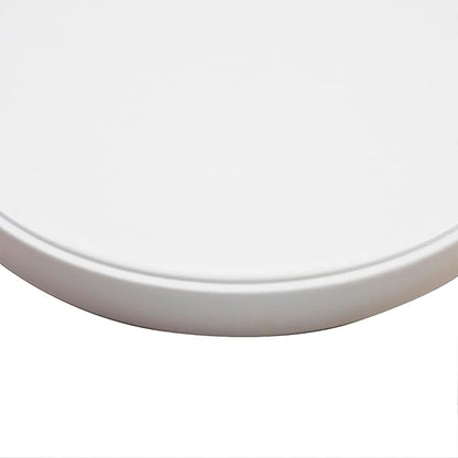 OMEM Reptile Food Bowl Water Dish,Feeding Dish, Birds Bowl (M, White)
