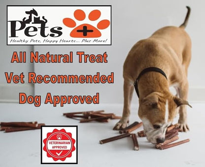 Pets Plus Premium Bart's Bully Sticks for Dogs – 6 Inch, Medium Size, All-Natural, Long-Lasting Chews for Moderate Chewers – High Protein, Low Odor, Grain-Free (10-Pack)