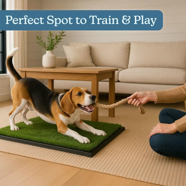 Artificial Grass Puppy Pee Pad for Dogs and Small Pets - 20x25 Inch, Reusable 3-Layer Turf Pads for Dogs with Tray - Indoor and Outdoor Fake Grass Potty Pet Supplies by PETMAKER