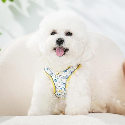 Step in Dog Harness and Leash Set, Flower Adjustable Easy Walk Puppy Harnesses, Soft Mesh Pet Vest Harness Small Size Dog Adjustable No Pull Dog Harness for Small Medium Dogs(Dinosaur, S)