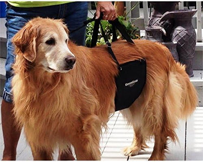 Dog Sling Hind Leg Support, M/LG Unisex with Cutout, Made in USA | Help Pets Walk, K9s Recover from Surgery, Fits Male & Female, Integrated Leash, Machine Wash/Dry, Chest Harness NOT Included