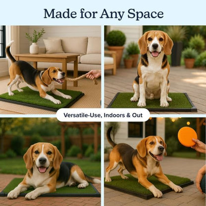 Artificial Grass Puppy Pee Pad for Dogs and Small Pets - 20x25 Inch, Reusable 3-Layer Turf Pads for Dogs with Tray - Indoor and Outdoor Fake Grass Potty Pet Supplies by PETMAKER