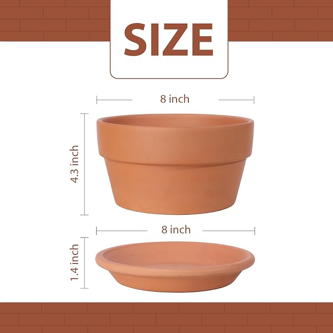 INGOFIN 8 Inch Terracotta Shallow Pots Set with Saucer - Ceramic Clay Pots with Drainage Hole, Terra Cotta Pot for Plants for Indoor Outdoor Plants, Set of 2