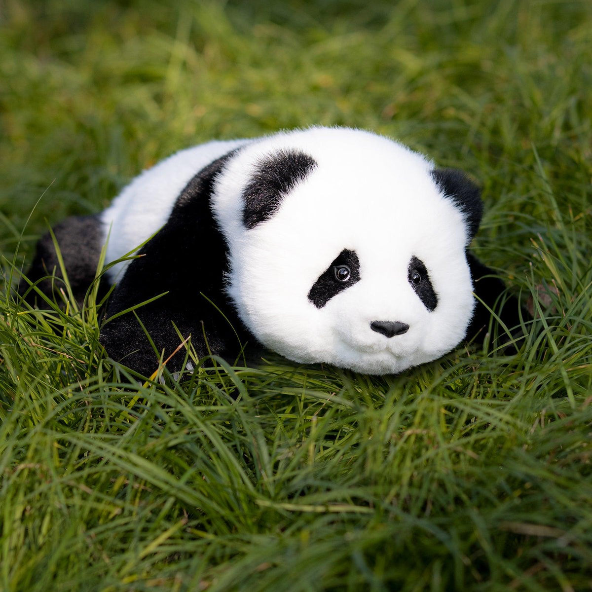 Menglan Panda Weighted – Ultra Realistic Collectible Toy