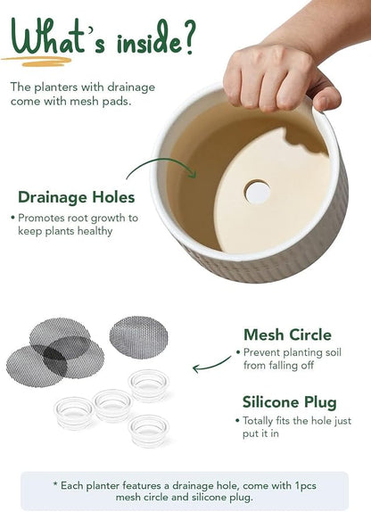 LE TAUCI Succulent Pots, 6.5+8 Inch Ceramic Indoor Plant Pot with Drainage Hole, Shallow Round Succulent Planters, Set of 2, Matte White