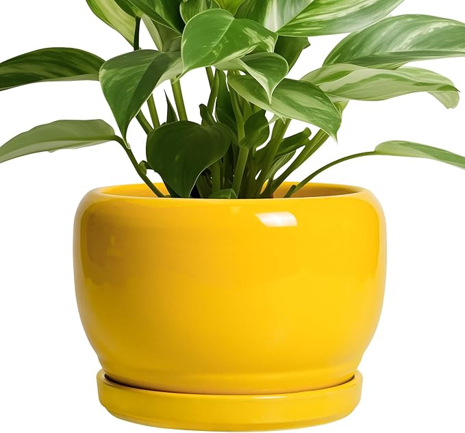 SQOWL Ceramic Plant Pot - 8 Inch Planter for Indoor Outdoor, Decorative Plant Pot with Drainage Hole and Saucer, Modern Round Planter for Flower, Desk Decor, Housewarming Gifts, Yellow