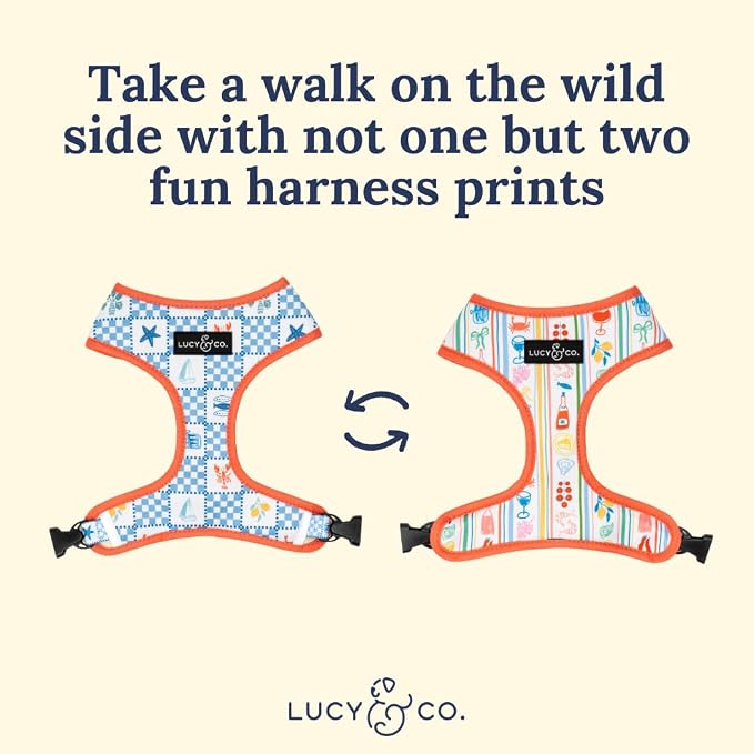 Lucy & Co. Sunny in Sicily Reversible Dog Harness, Adjustable Comfort Fit with Dual Leash Attachments, X-Large