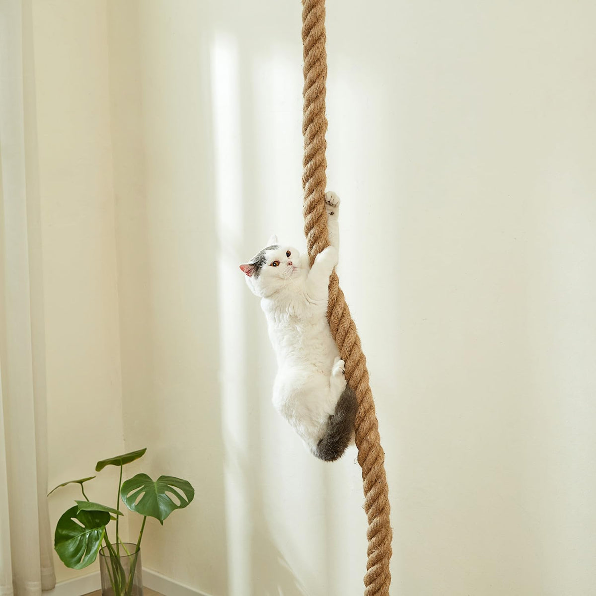 SHENGOCASE 1.9" x 8.9Ft Cat Climbing Jute Rope for Ceiling with Hook, Wall Mounted Furniture for Indoor and Outdoor Cats, Cimbing Pole (8.9 Feet)