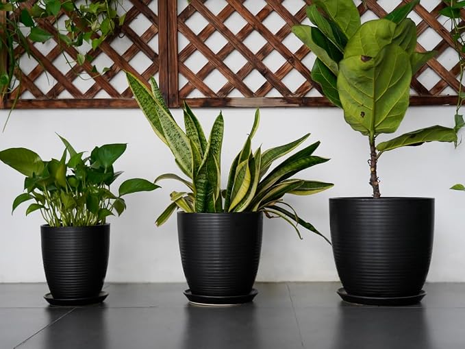 12 Inch Pots for Plants - Ceramic Planter Pot, Large Flower Pot with Drainage Hole and Saucer for Home Patio Garden Office Indoor Outdoor, Black