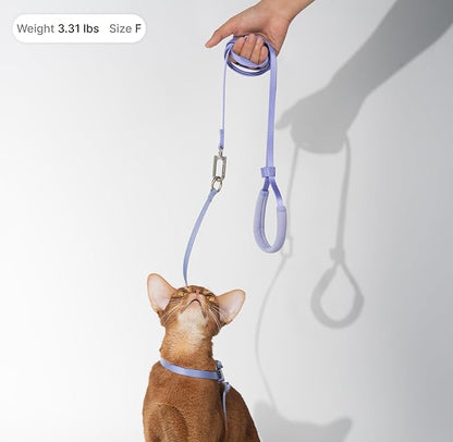 Cat Harness and Leash Set, Lightweight Escape Proof Cat Harness Leash with Padded Handle, Adjustable Cat Leash and Harness for Kitten Small Large Cats Walking Training (Vivid Red, S)