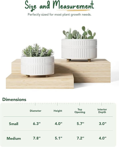 LE TAUCI Succulent Pots, 6.5+8 Inch Ceramic Indoor Plant Pot with Drainage Hole, Shallow Round Succulent Planters, Set of 2, Matte White