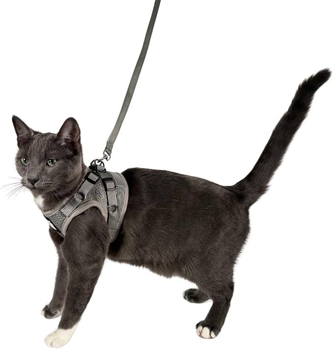 Travel Cat Harness and Leash Set - Adjustable Fit Mesh Cat Harness and Reflective Strap - Comfort Walking Vest for Kitten for Outdoor Walking, Hiking (Large, Grey)