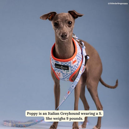 Lucy & Co. Sunny in Sicily Reversible Dog Harness, Adjustable Comfort Fit with Dual Leash Attachments, X-Large