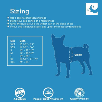 RC Pet Products Cirque Soft Walking Step-in Dog Harness, Pineapple Parade, XX-Small