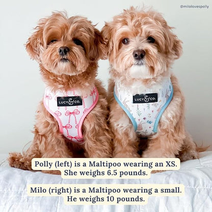 Lucy & Co. Reversible Dog Harness - Water-Repellent Neoprene, Dual-Print Design, Easy Swap Style, Adjustable Comfort Fit - Take a Bow Reversible Harness - X-Small