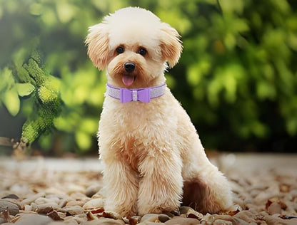 Serijoars Small Dog Collar with Rhinestone Crystal Diamond Colorful Bling Girl Puppy Cat Collars (S, Purple1)