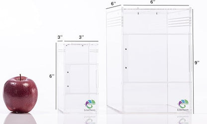 EctoTherm Jumping Spider Enclosure - for Habitat, Terrarium Kit and Arboreal Tarantula Enclosure