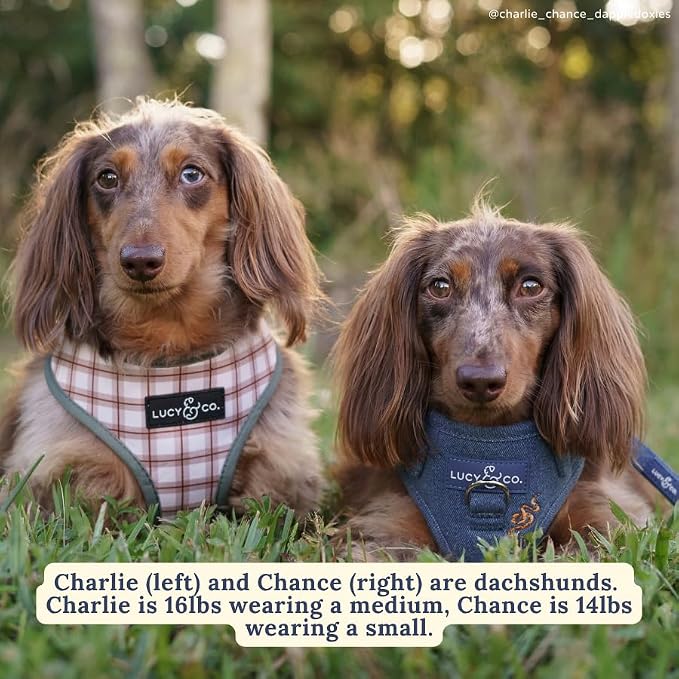 Lucy & Co. Reversible Dog Harness - Water-Repellent Neoprene, Dual-Print Design, Easy Swap Style, Adjustable Comfort Fit - Camp Out Reversible Harness - Small