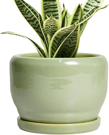 SQOWL Ceramic Pot for Plants - 6 Inch Planter for Indoor Outdoor Plants, Round Decorative Flower Pot with Drainage Hole and Saucer, Modern Small Planter, Patio Decor, Garden Gifts, Green