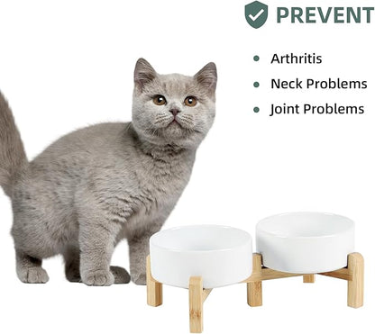 Ceramic Raised Double Bowls Set