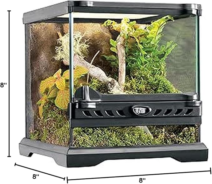 Exo Terra Glass Terrarium Kit, for Reptiles and Amphibians, Nano, 8 x 8 x 8 inches, PT2599A1
