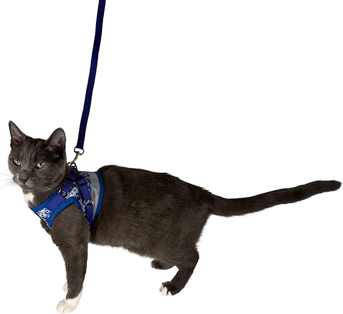 Travel Cat Harness and Leash Set - Adjustable Fit Mesh Cat Harness and Reflective Strap - Comfort Walking Vest for Kitten for Outdoor Walking, Hiking (Small, Groovy)