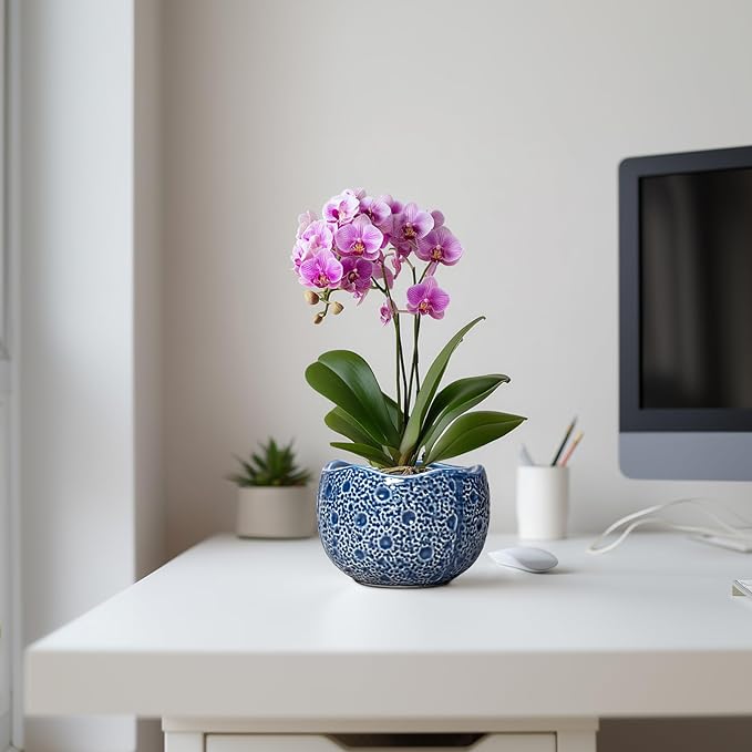 Orchid Pot - 6 Inch Ceramic Plant Pot for Indoor Outdoor, Round Unique Planters with Drainage Hole, Modern Round Decorative Flower Pots, Home Decor, Gifts for Plant Lovers, Blue